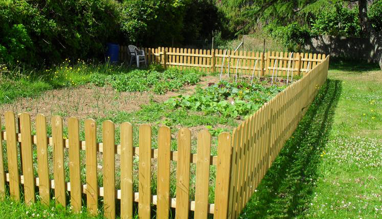 Jardins partagés : ils ont à nouveau le vent en poupe !