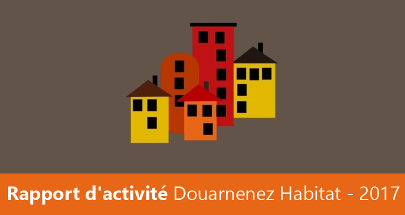 Rapport d’activité 2017